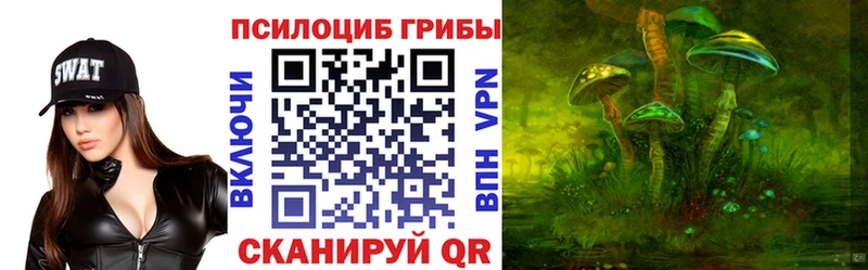 Псилоцибиновые грибы GOLDEN TEACHER  Купить где  Олёкминск 